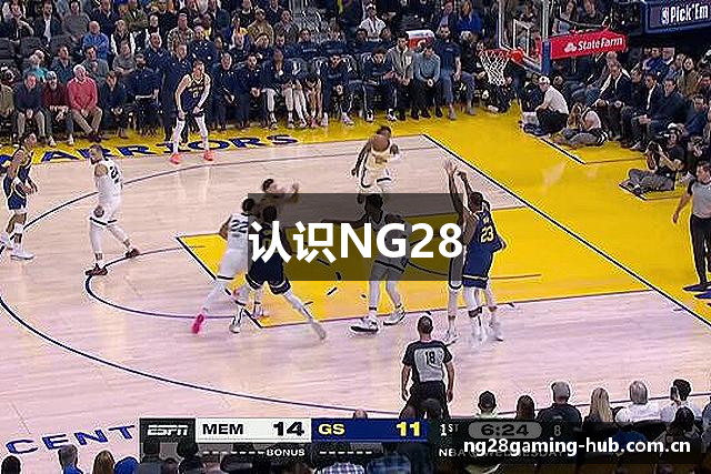 认识NG28